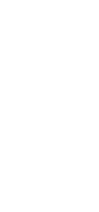 【芳寿豚】